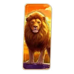 Lion
Safari
